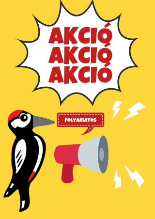 Akciók a fakopáncs fajáték webáruházban