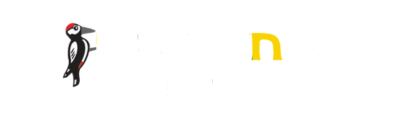 Fakopáncs játék webáruház                        