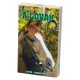 Kártya: A lovak  -  vásároljon online minőségi fajátékokat