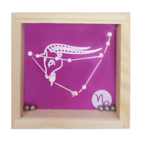 Mini labirintus, horoszkóp (Bak)  -  vásároljon online minőségi fajátékokat