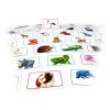 Concept Kids  -  vásároljon online minőségi fajátékokat